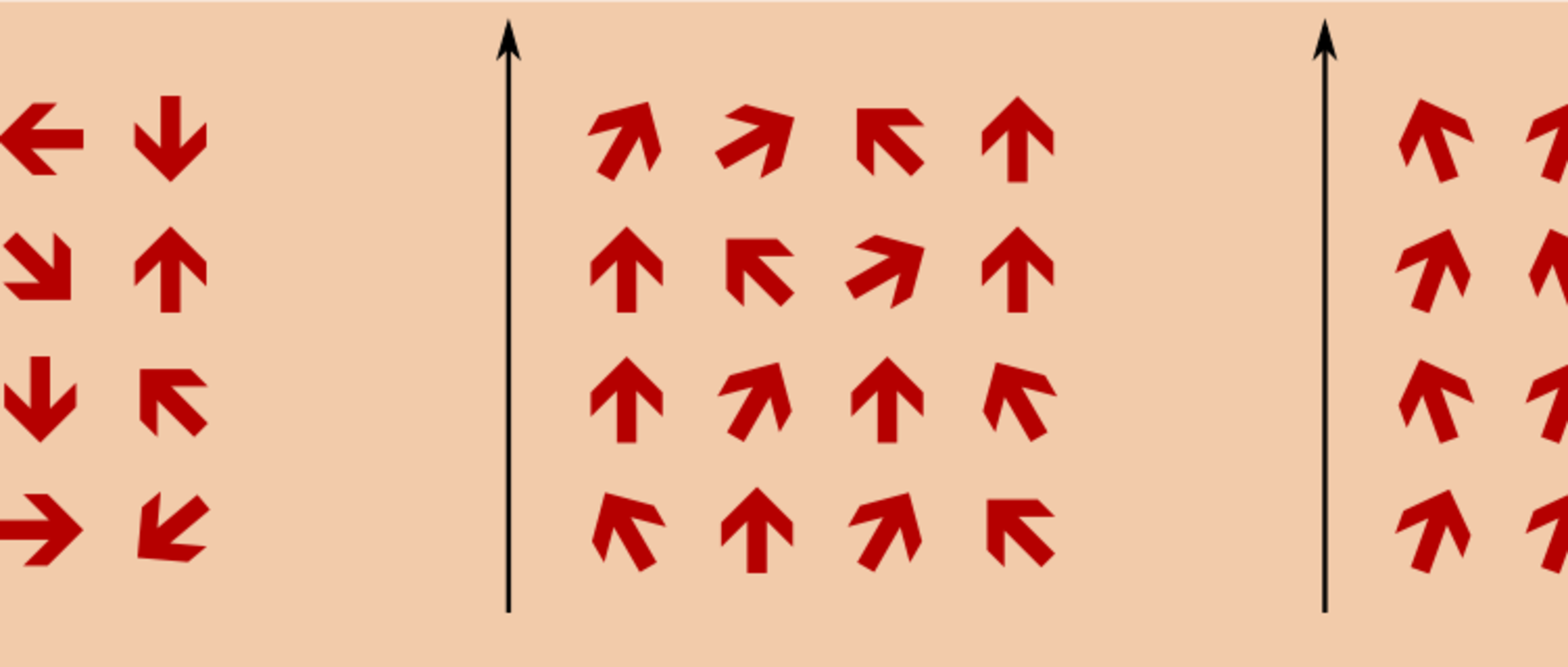 Alignment of microscopic spins